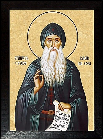Sfinti Noiembrie - Sfântul Cuvios David din Evvia