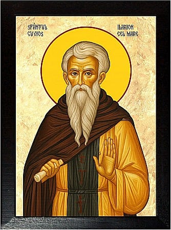 Icoane Sfinti - Sfântul Cuvios Ilarion cel Mare