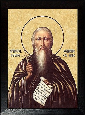 Sfinti Noiembrie - Sfântul Cuvios Ioanichie cel Mare