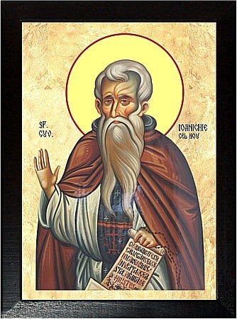 Icoane Iulie - Sfantul Cuvios Ioanichie cel Nou de la Muscel