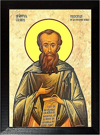 Sfinti Ianuarie - Sfântul Cuvios Teoctist, egumenul de la Kucumia Siciliei