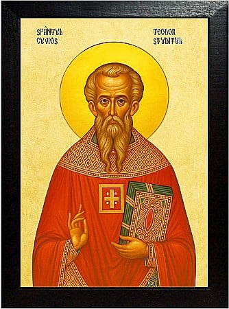 Sfinti Noiembrie - Sfântul Cuvios Teodor Studitul