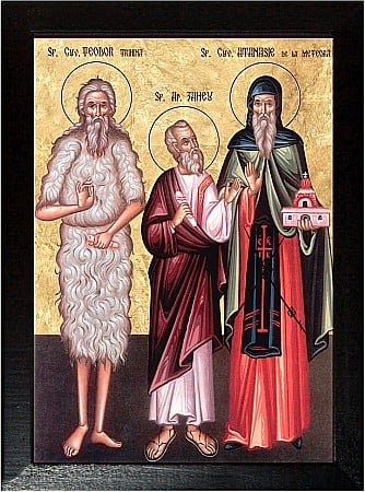 Sfinti Aprilie - Sfantul Cuvios Teodor Trihina, Sfantul Cuvios Anastasie, Sfantul Apostol Zaheu