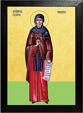 Sfinti Februarie - Sfântul Cuvios Timotei