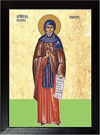 Sfinti Februarie - Sfântul Cuvios Timotei