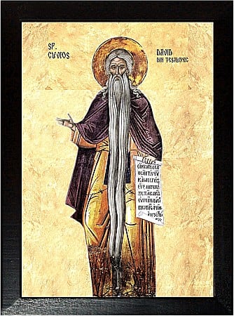 Icoane Iunie - Sfantul David, Cuviosul din Tesalonic