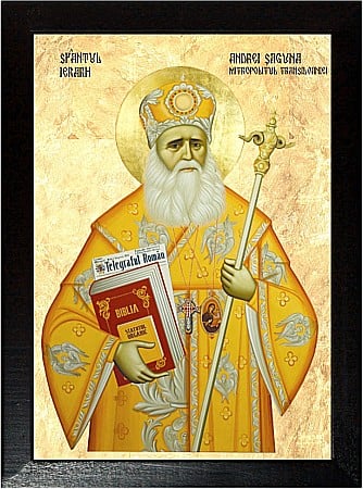 Sfinti Noiembrie - Sfântul Ierarh Andrei Șaguna, Mitropolitul Transilvaniei