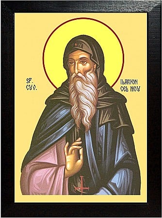 Icoane Iunie - Sfantul Ilarion cel Nou, egumenul Manastirii Dalmatilor