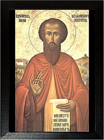 Sfinti August - Sfantul Ioan cel Nou Hozevitul