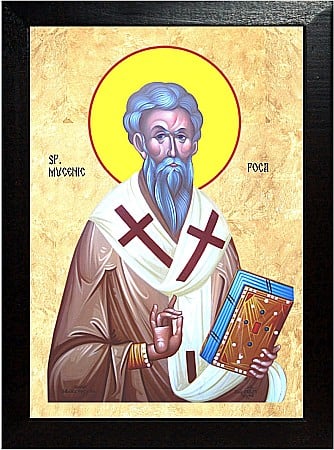 Icoane Iulie - Sfantul Mucenic Foca, aducerea moastelor sale