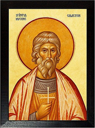 Sfinti Noiembrie - Sfântul Mucenic Galaction