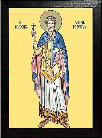 Icoane Februarie - Sfantul Mucenic Pamfil preotul