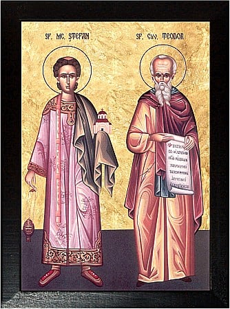 Sfantul Mucenic Stefan, Sfantul Cuvios Teodor [1]