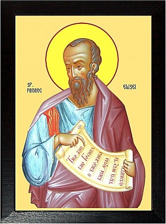 Icoane Iunie - Sfantul Prooroc Elisei