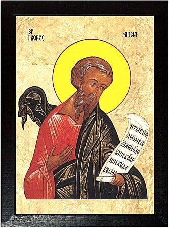 Sfinti August - Sfantul Proroc Miheia