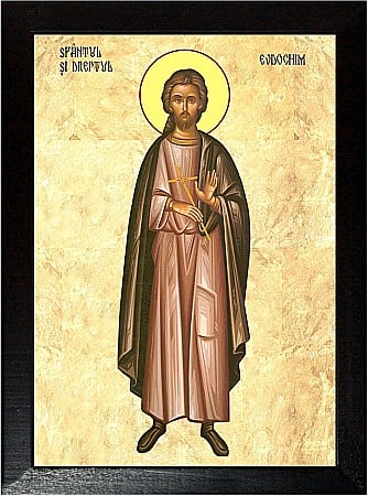Icoane Iulie - Sfantul si Dreptul Evdochim