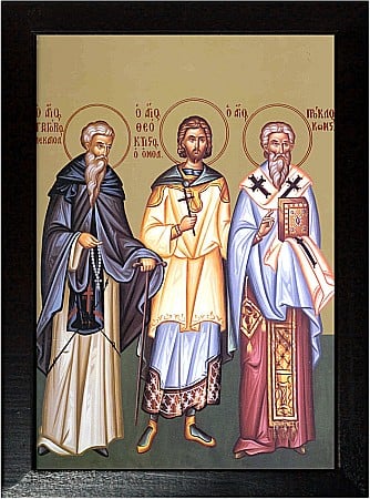 Sfinti Noiembrie - Sfintii Cuviosi Teoctist, Proclu si Grigorie Decapolitul model Athos