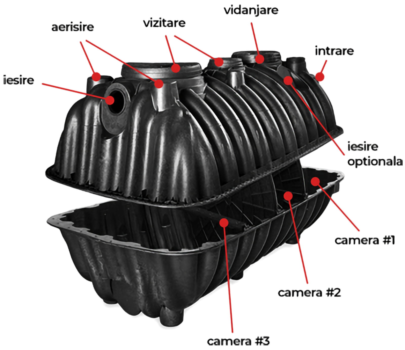 Fosele septice