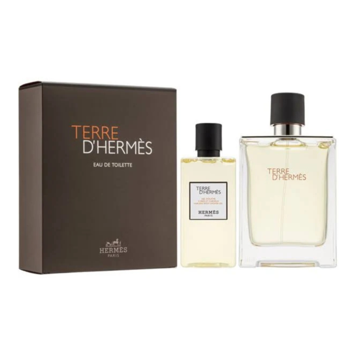Hermes Terre D Hermes EDT 100ml M SET [1]