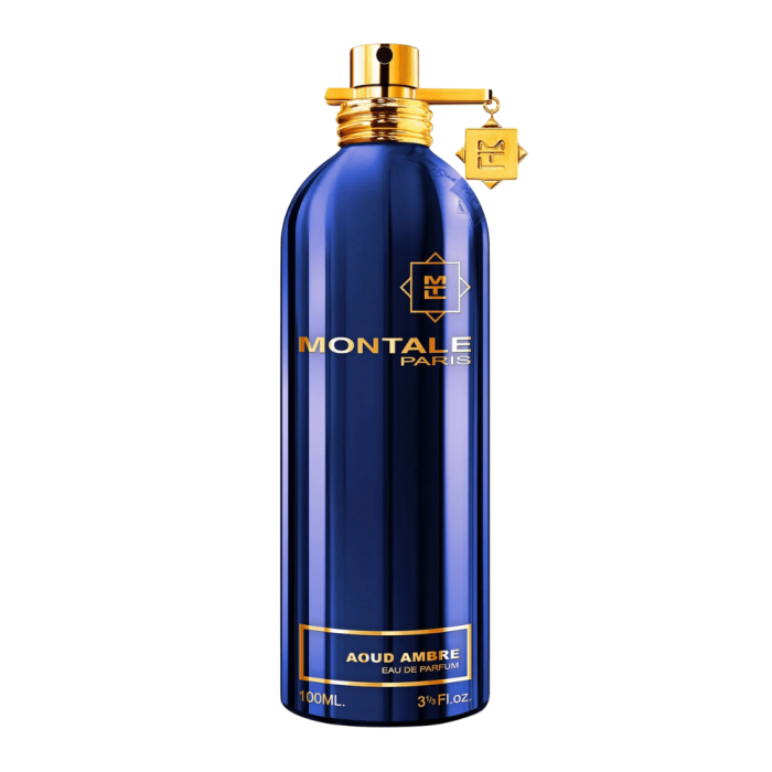 Montale Aoud Ambre Eau De Parfum Unisex 100 ml [1]