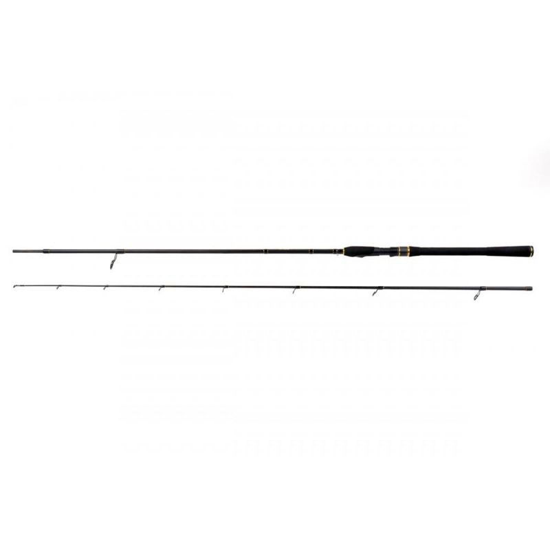 Formax - Lanseta Aries Spin 2,58m 30-70g [8]