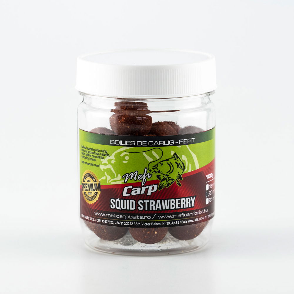 Squid Strawberry Fiert [1]