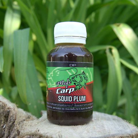 Dip - Dip Squid Plum