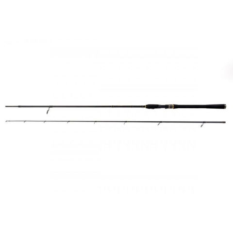 Formax - Lanseta Aries Spin 2,58m 30-70g [7]