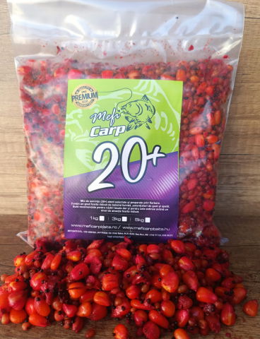 Seminte - Seminte Fierte 20+ HOT