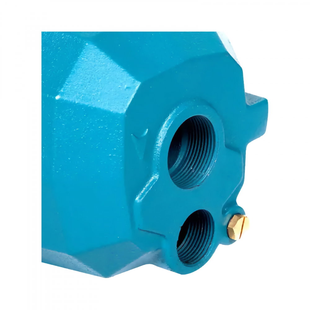 Hidrofor adancime DP 370 50 litri Ibo [4]