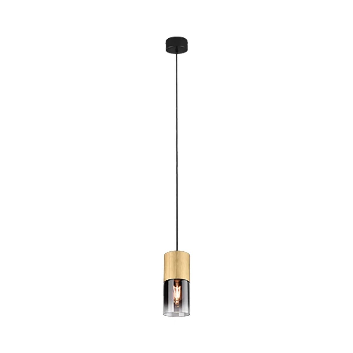 Pendul ROBIN EXCL.1XE27 | 310600154 [1]