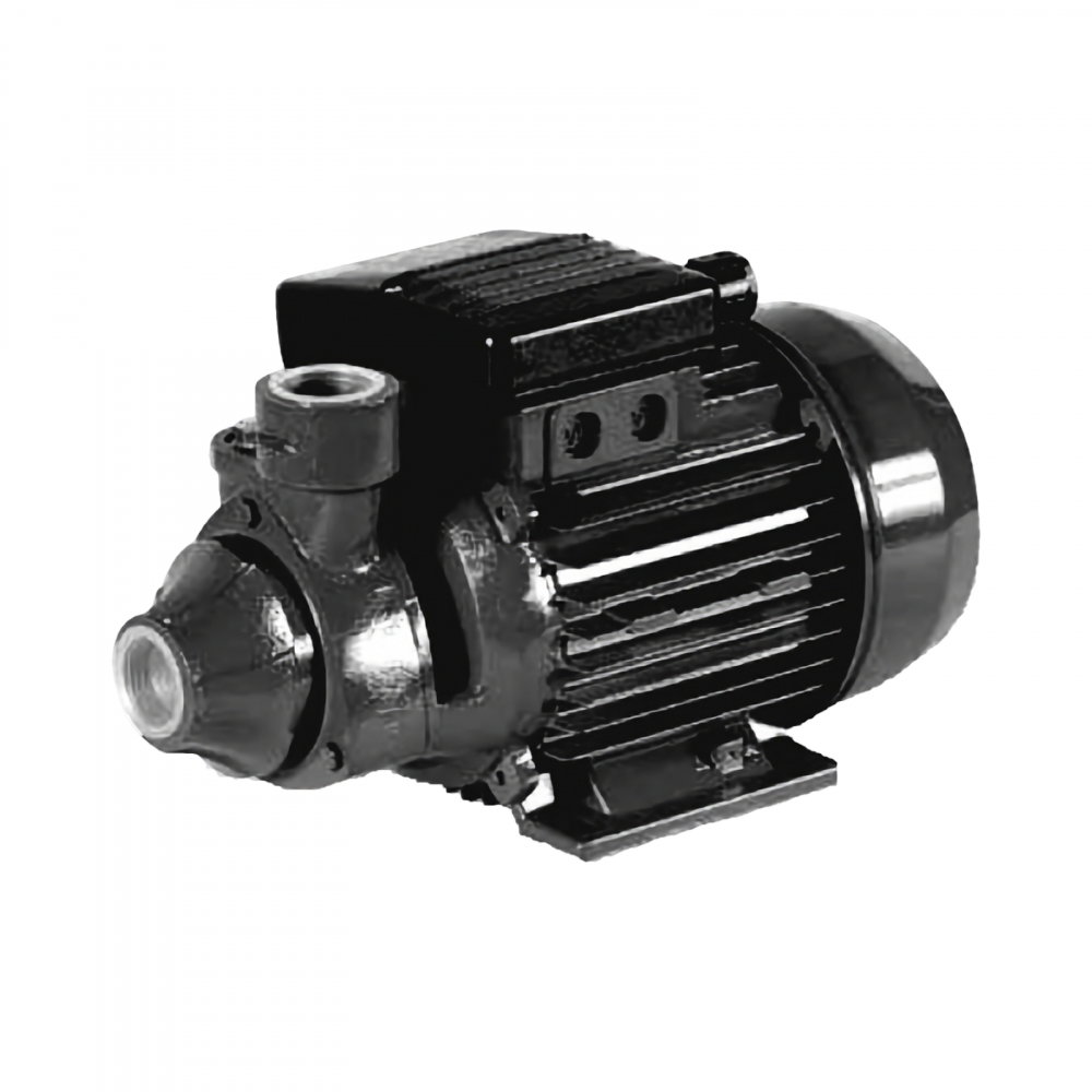 Pompa periferica 037KW 230V 50HZ [1]