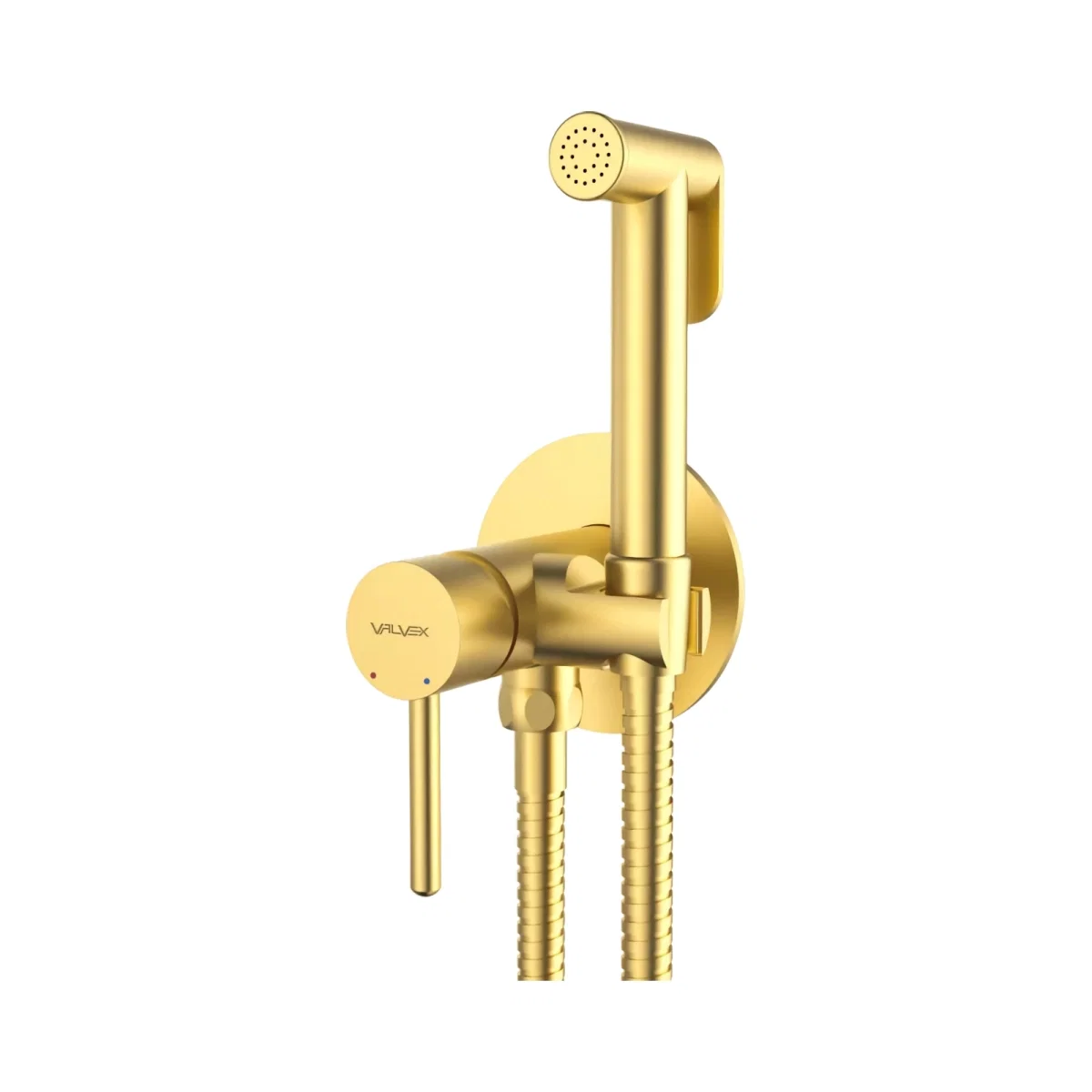 Baie - 2424910-BAPV Dus igienic CANNOLI Brush Gold Box inclus