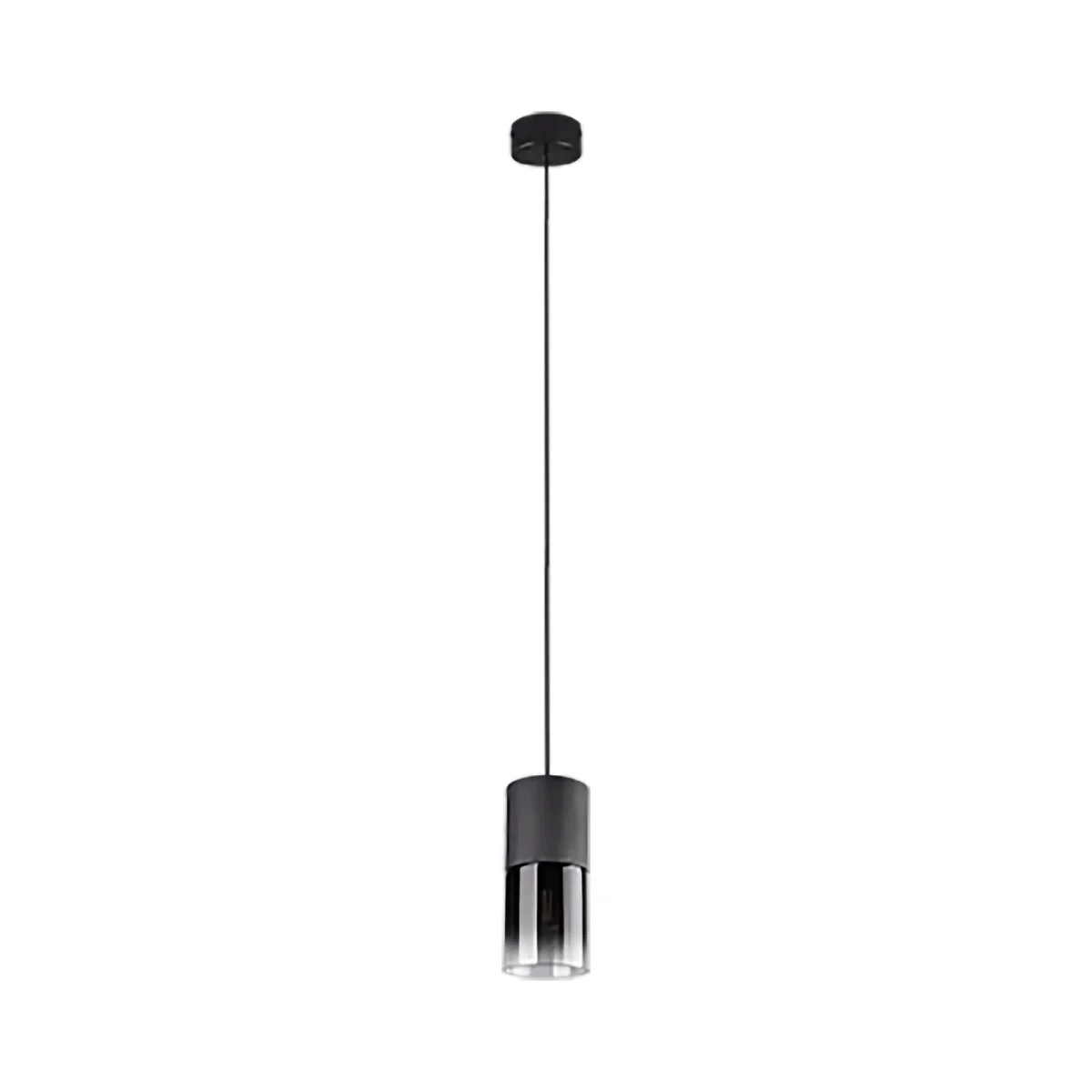 Corpuri de iluminat - Pendul ROBIN EXCL.1XE27 | 310600132