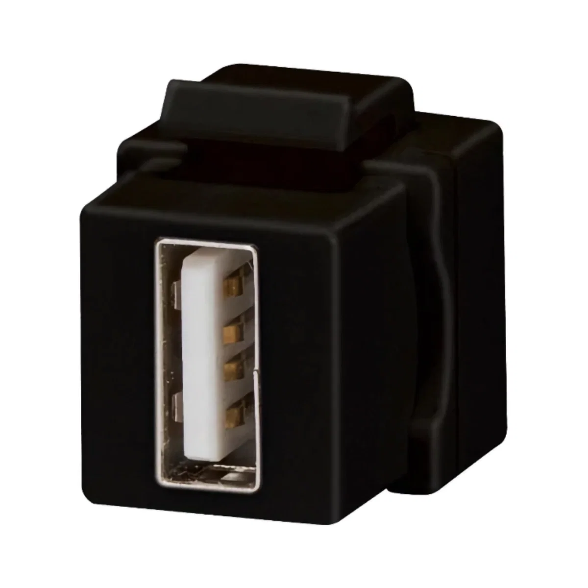 Prize - PRIZA USB ALB SYSTEM - GEWISS | GW38057