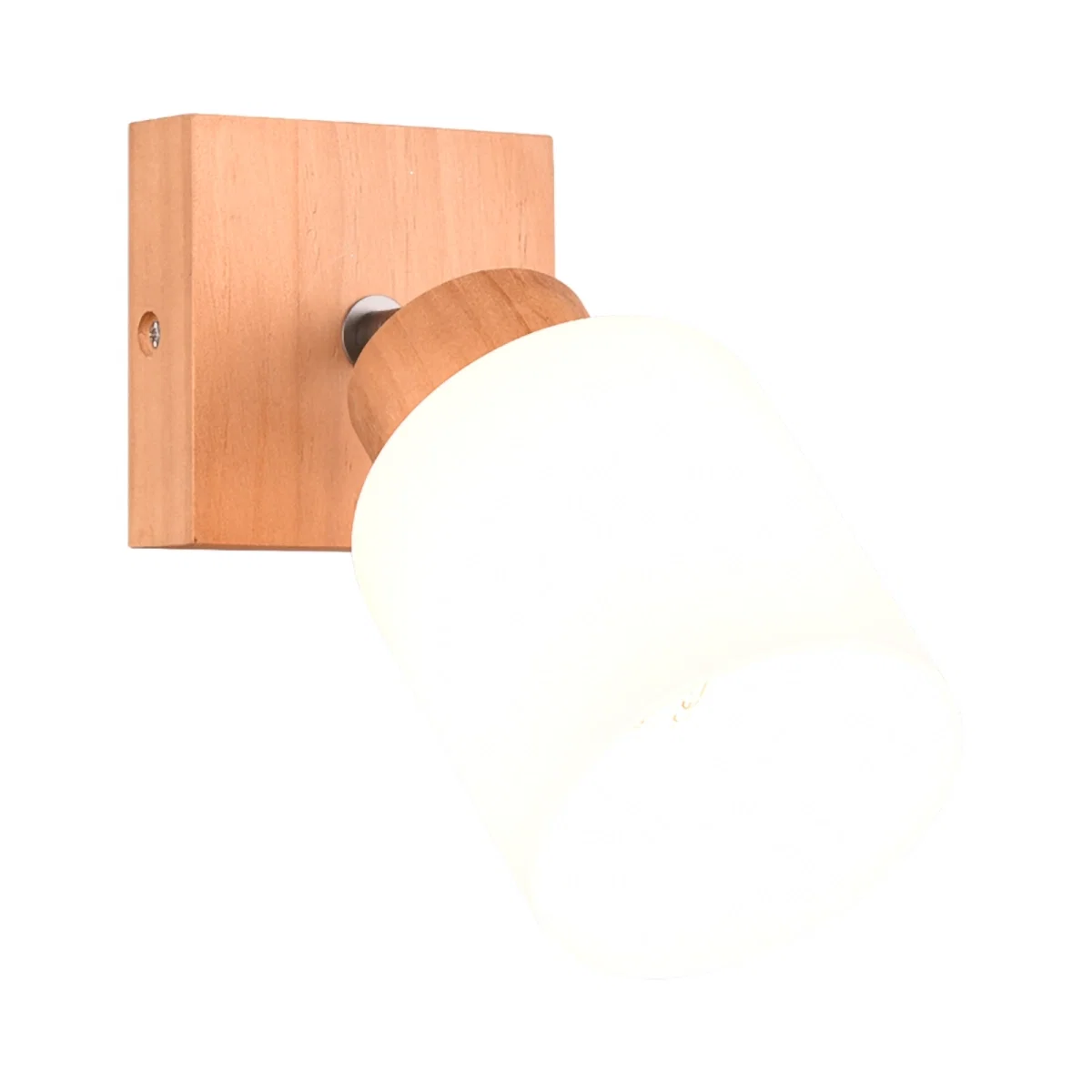 Echipamente electrice - Spot ASSAM excl.1XE14 | R81111030