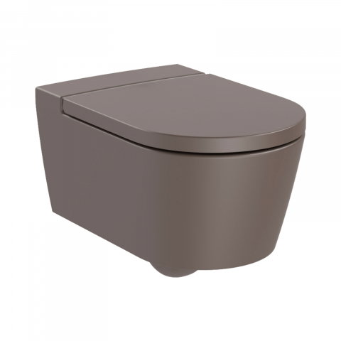 Baie - Vas WC Rimless, suspendat, din portelan, cu evacuare orizontala Inspira Roca