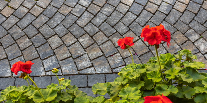 Pavaj Arte Arc de Cerc [2]