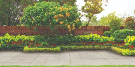 Pavaje - Dale Rettino