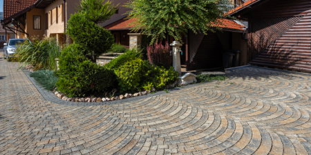 Pavaj Arte Arc de Cerc [3]