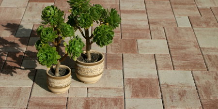 Pavaj Citytop Grande Combi [1]