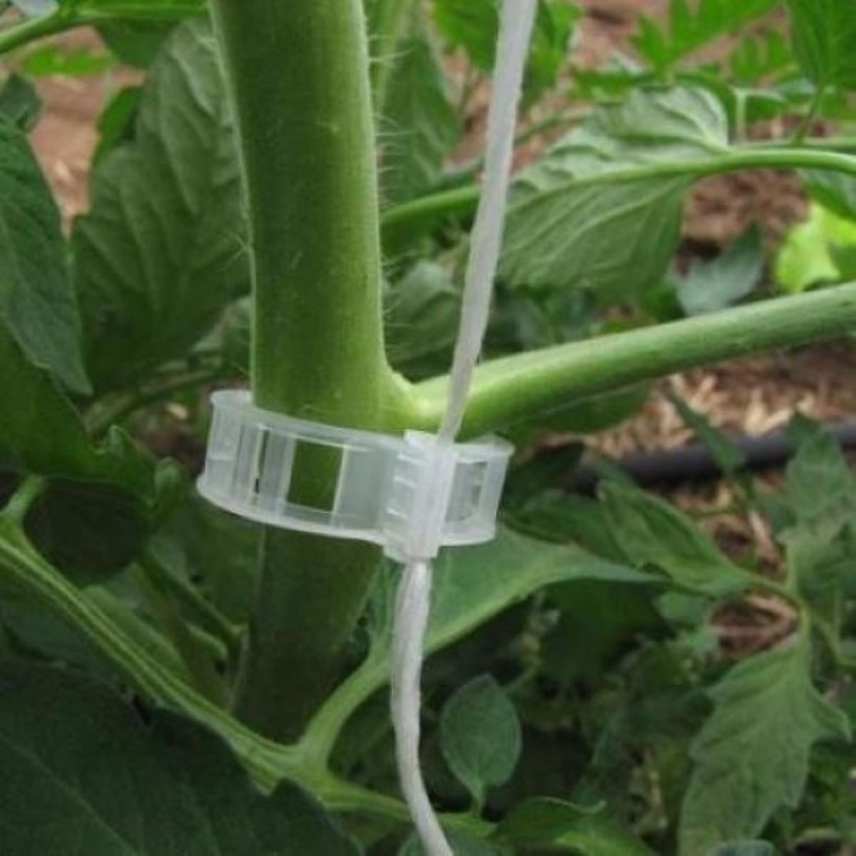 Clips palisare tomate 24 mm – cleme pentru plante [2]