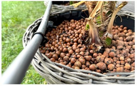 Picurător pentru tub de picurare [1]