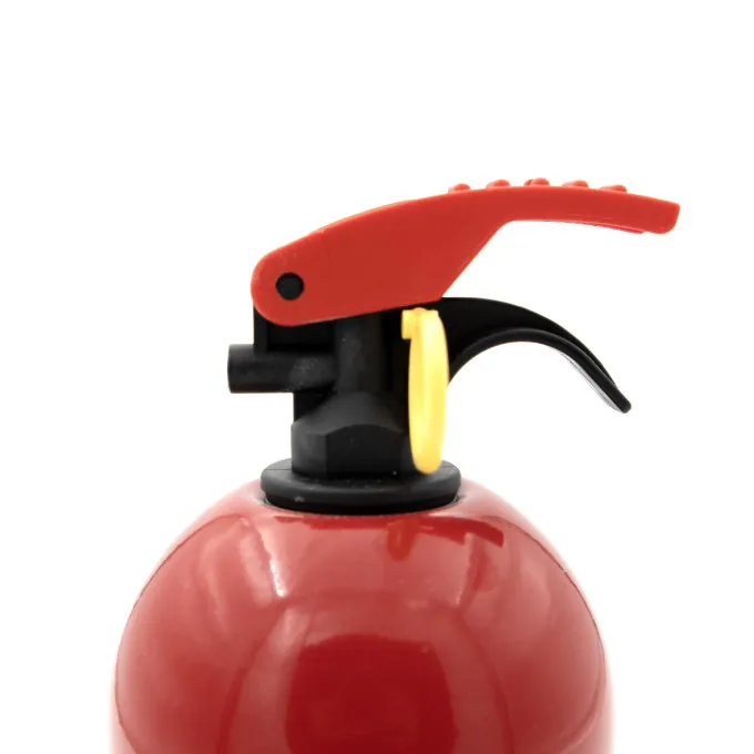 ECHIPAMENTE DE PROTECTIE - Stingator-Auto-Cu-Pulbere-1KG-CARGUARD
