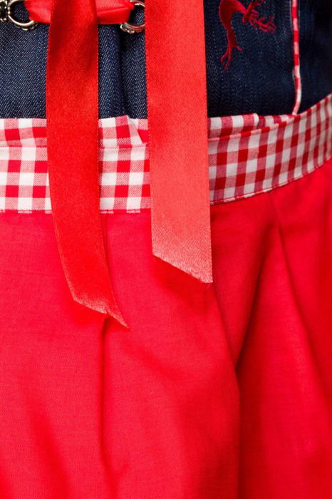 Costum Oktoberfest 4384 [4]