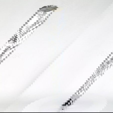 Cizme SEDUCE 3000 [3]