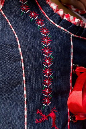 Costum Oktoberfest 4384 [4]