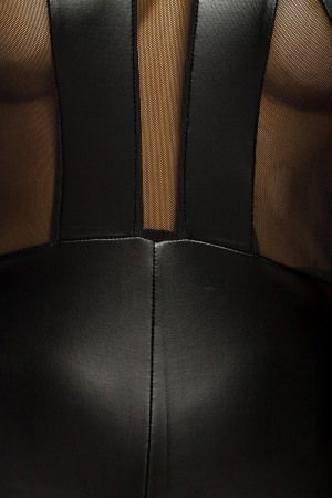 Lenjerie sexy, Salopeta lucioasa cu plasa [2]