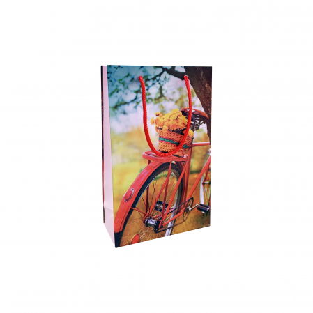 Pungi cadou MEDII - Punga cadou de hartie medie cu model vara - bicicleta