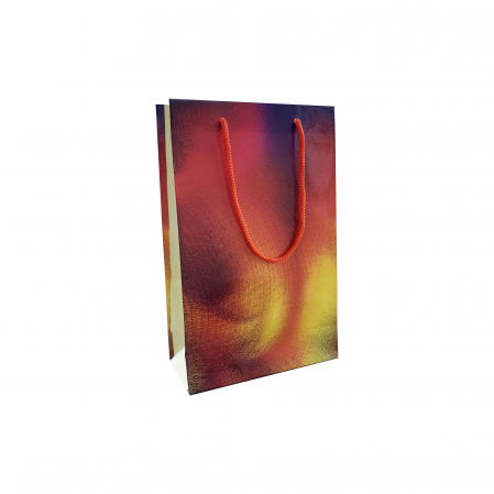 Pungi cadou MEDII - Punga cadou de hartie medie cu model vara - spectrum